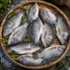 Talapia Fish