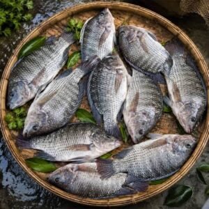 Talapia Fish